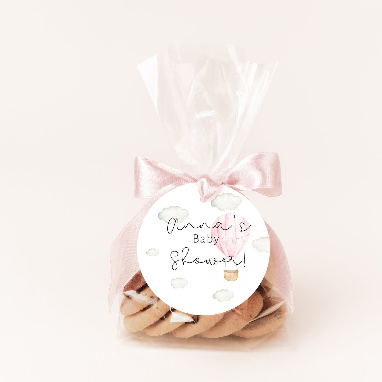 Hot Air Balloon Baby Shower Favor Tag, Gift Tag Template, Girl Baby Shower Favour Tag, Editable Template,Printable DIY